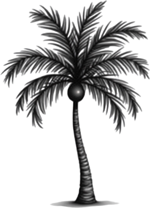 Monochrome Palm Tree Illustration